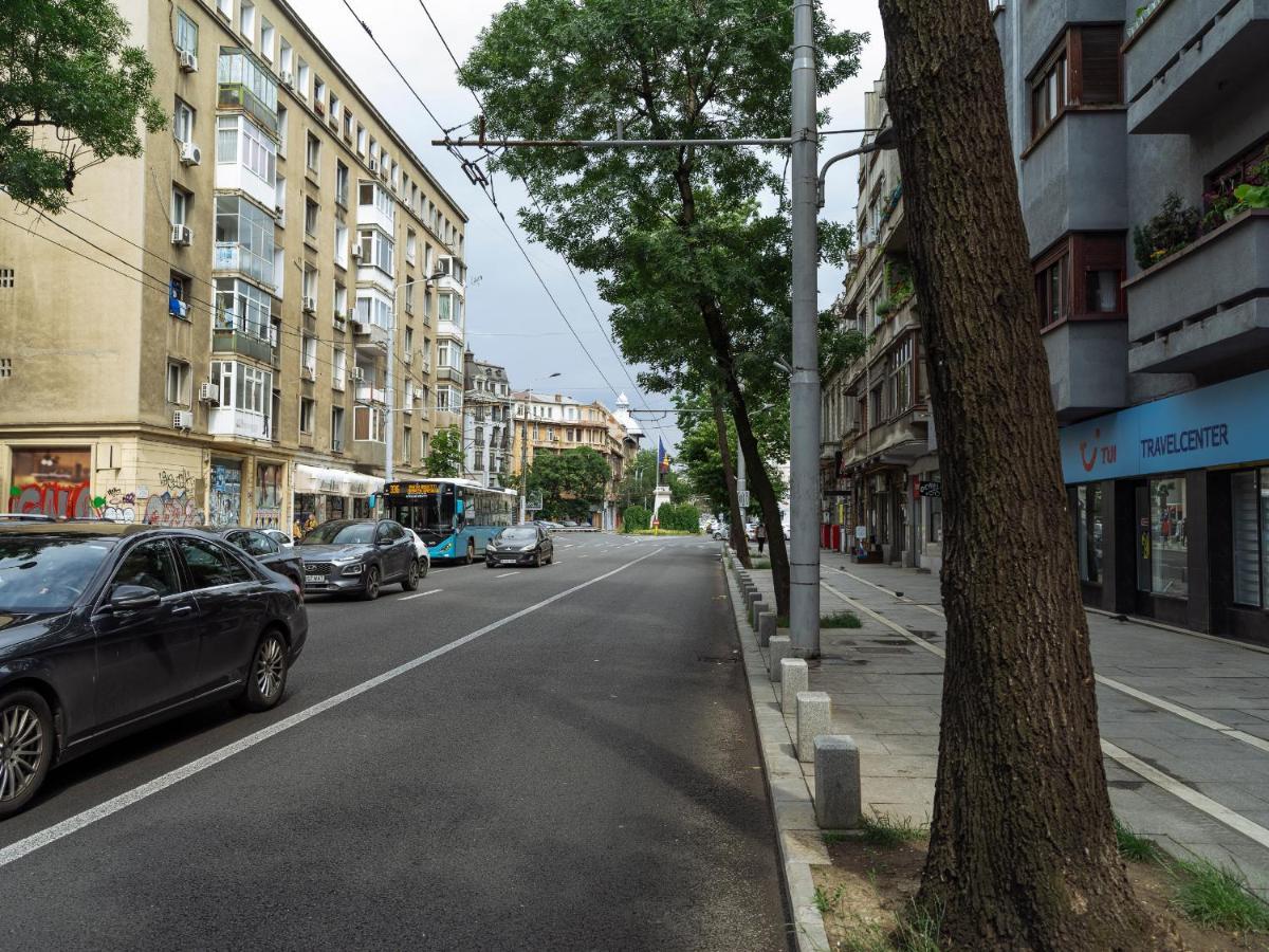 Beautiful Modern Studio - Cismigiu Park - Netflix Bucureşti Exterior foto