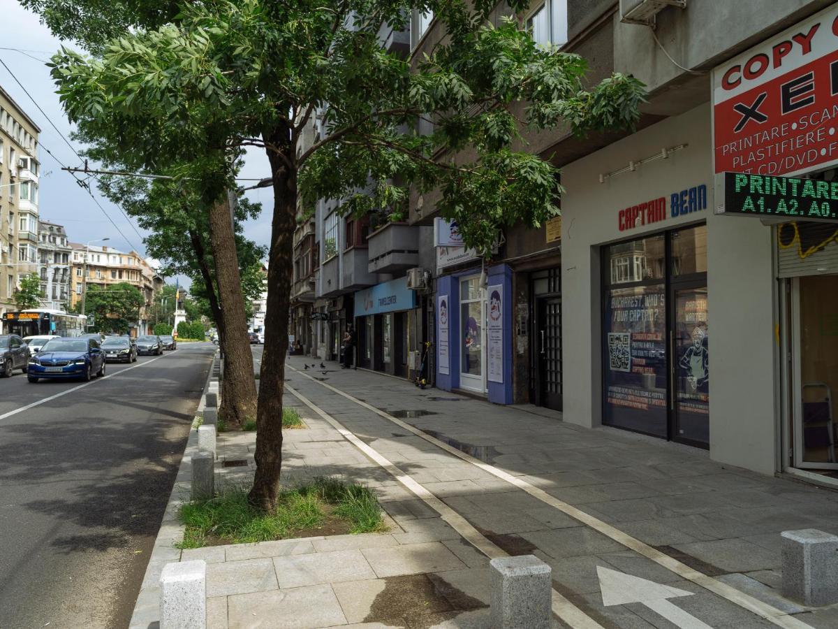 Beautiful Modern Studio - Cismigiu Park - Netflix Bucureşti Exterior foto